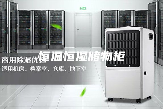 恒溫恒濕儲(chǔ)物柜