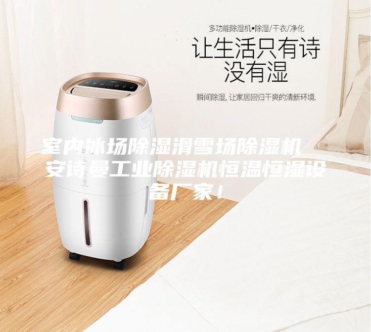 室內(nèi)冰場除濕滑雪場除濕機  安詩曼工業(yè)除濕機恒溫恒濕設(shè)備廠家！