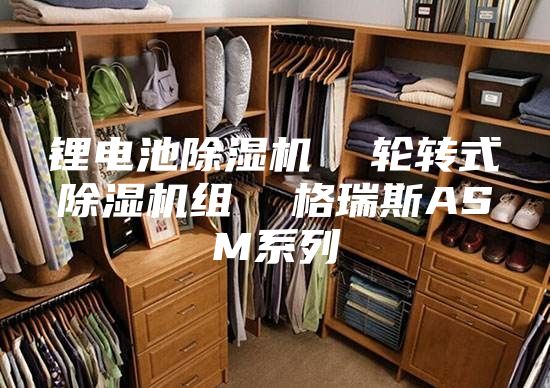 鋰電池除濕機(jī)  輪轉(zhuǎn)式除濕機(jī)組  格瑞斯ASM系列