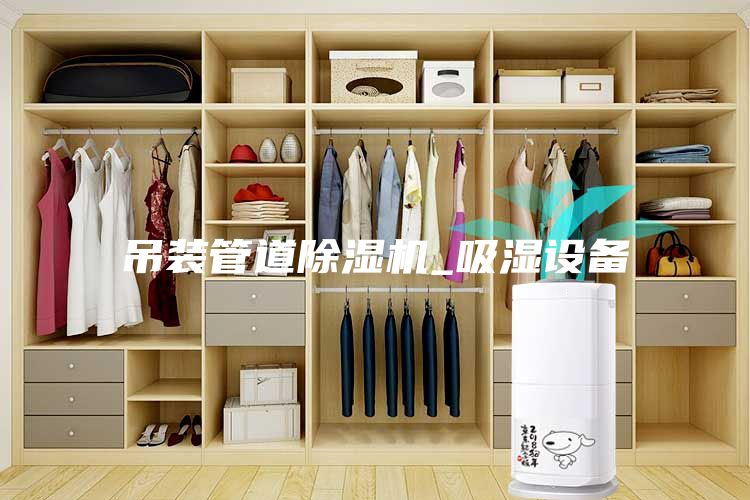 吊裝管道除濕機(jī)_吸濕設(shè)備