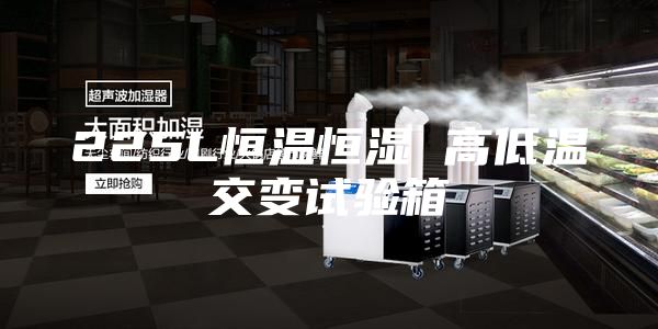 225L恒溫恒濕 高低溫交變試驗箱