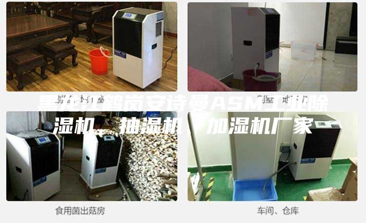 黑龍江鶴崗安詩(shī)曼ASM工業(yè)除濕機(jī)，抽濕機(jī)、加濕機(jī)廠家
