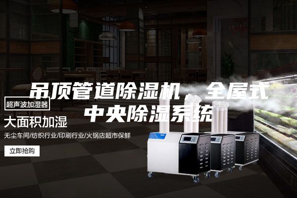 吊頂管道除濕機，全屋式中央除濕系統