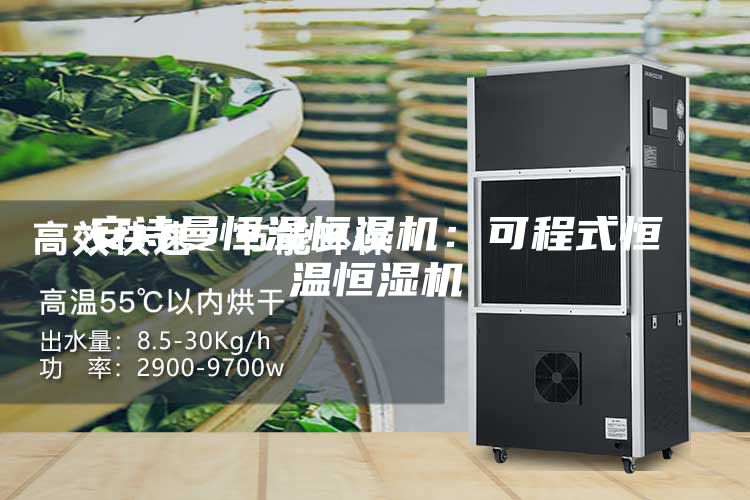 安詩曼恒溫恒濕機(jī)：可程式恒溫恒濕機(jī)