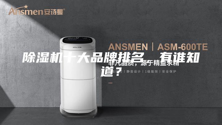 除濕機十大品牌排名，有誰知道？