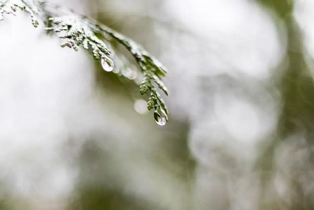 空氣濕度大帶來的危害有哪些，你知道嗎？