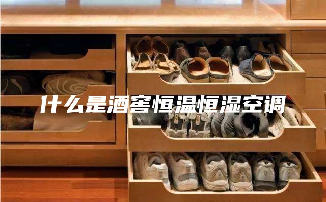 什么是酒窖恒溫恒濕空調(diào)