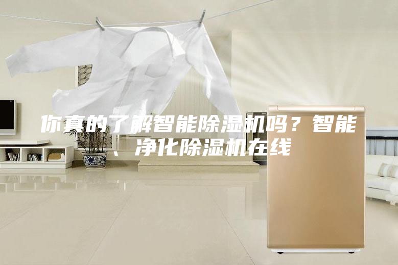 你真的了解智能除濕機嗎?智能、凈化除濕機在線