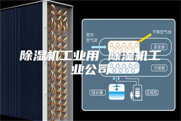 除濕機(jī)工業(yè)用 除濕機(jī)工業(yè)公司