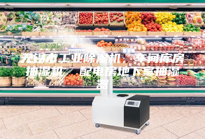 無(wú)錫市工業(yè)除濕機(jī),車間庫(kù)房抽濕機(jī) 配電房地下室抽濕器