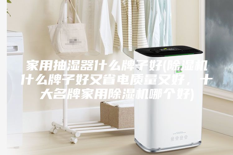 家用抽濕器什么牌子好(除濕機什么牌子好又省電質量又好，十大名牌家用除濕機哪個好)
