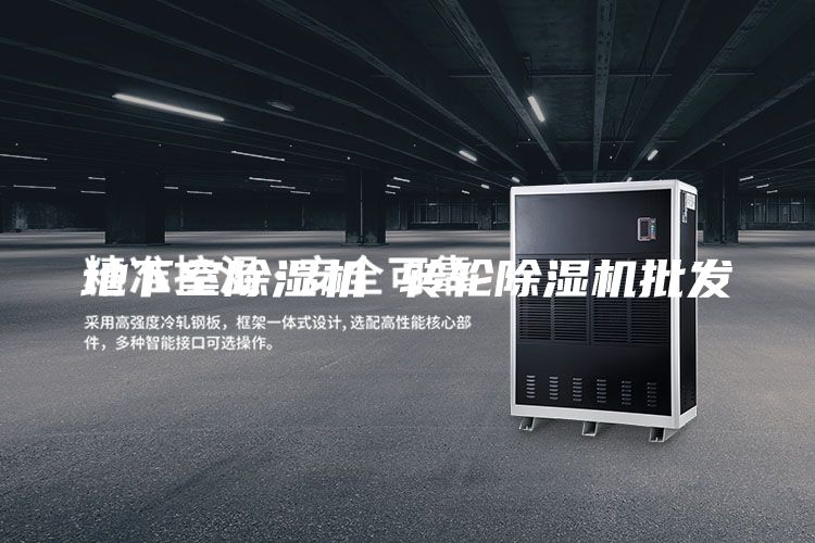 地下室除濕機(jī) 轉(zhuǎn)輪除濕機(jī)批發(fā)
