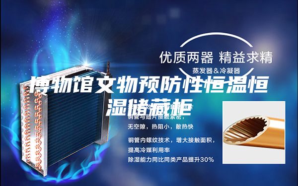 博物館文物預防性恒溫恒濕儲藏柜