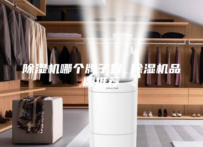 除濕機哪個牌子好 除濕機品牌推薦
