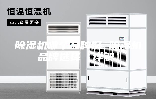 除濕機(jī)哪個品牌好 除濕機(jī)品牌選擇【詳解】