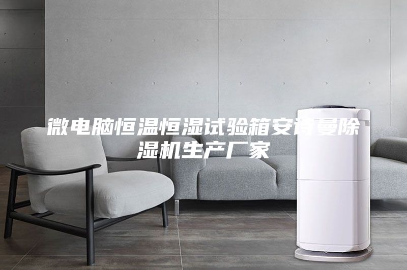 微電腦恒溫恒濕試驗箱安詩曼除濕機生產廠家