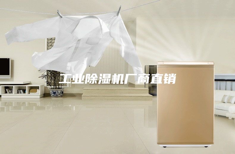 工業(yè)除濕機(jī)廠(chǎng)商直銷(xiāo)