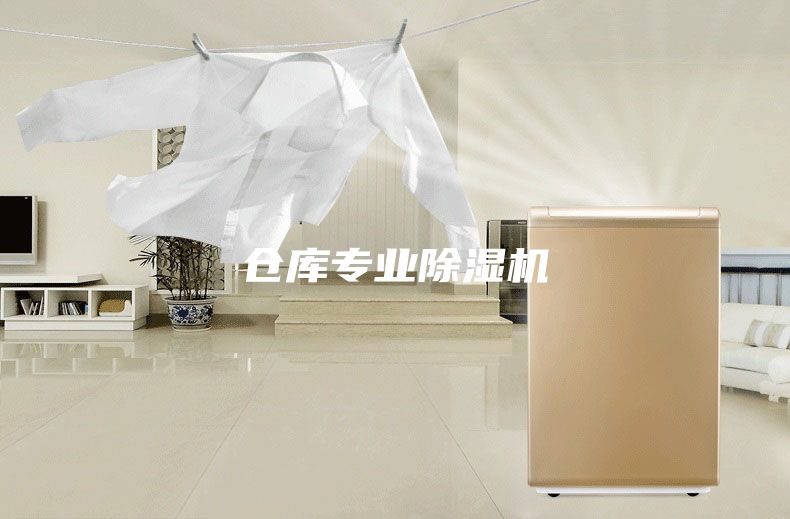 倉庫專業(yè)除濕機