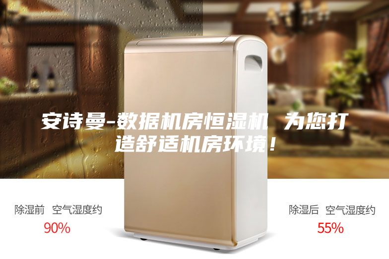 安詩曼-數據機房恒濕機 為您打造舒適機房環境!