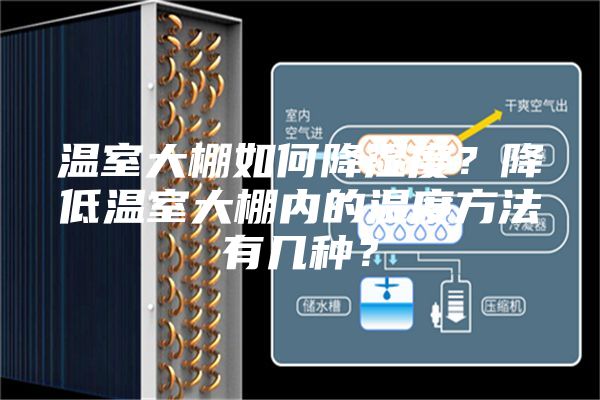 溫室大棚如何降濕度？降低溫室大棚內(nèi)的濕度方法有幾種？