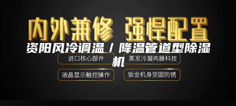 資陽風冷調溫/降溫管道型除濕機