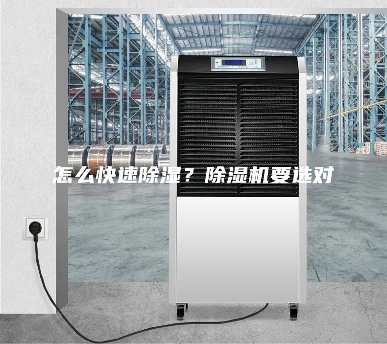 怎么快速除濕？除濕機要選對