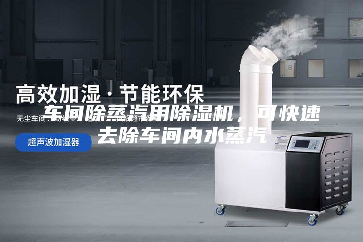 車間除蒸汽用除濕機,可快速去除車間內水蒸汽