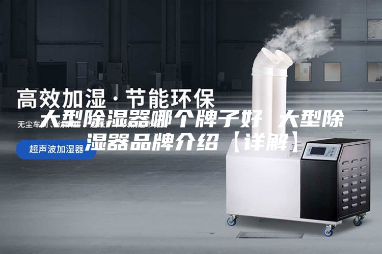 大型除濕器哪個牌子好 大型除濕器品牌介紹【詳解】