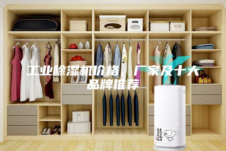 工業除濕機價格、廠家及十大品牌推薦
