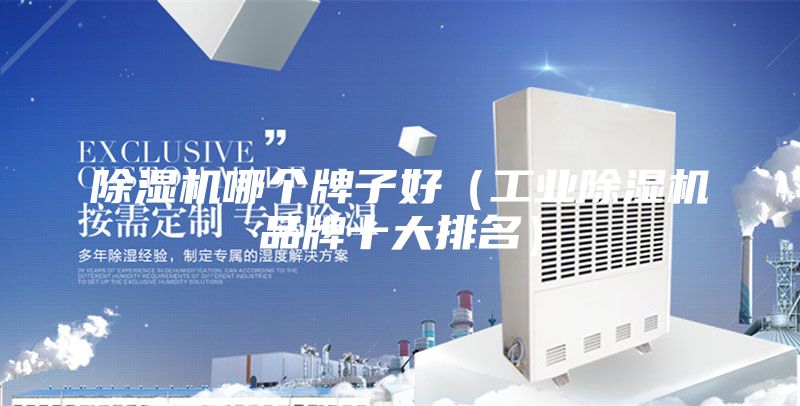 除濕機哪個牌子好（工業(yè)除濕機品牌十大排名）