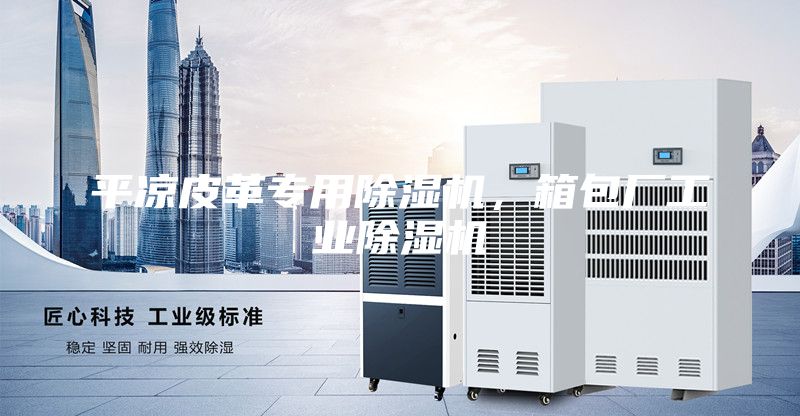 平?jīng)銎じ飳S贸凉駲C(jī),箱包廠工業(yè)除濕機(jī)