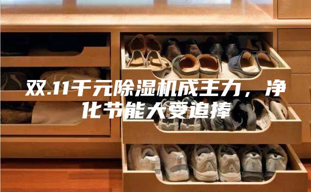 雙.11千元除濕機成主力,凈化節能大受追捧