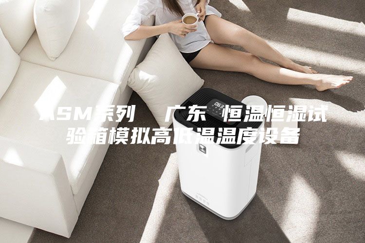ASM系列  廣東 恒溫恒濕試驗(yàn)箱模擬高低溫溫度設(shè)備
