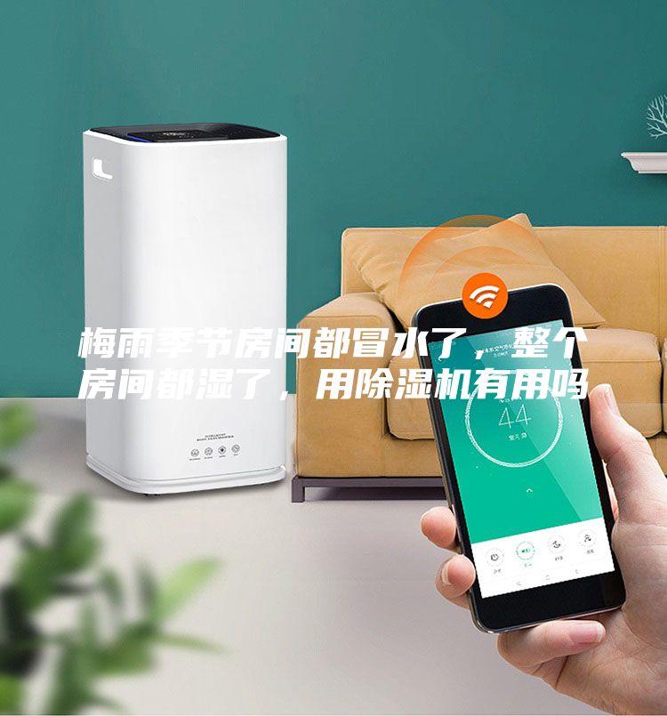 梅雨季節房間都冒水了，整個房間都濕了，用除濕機有用嗎