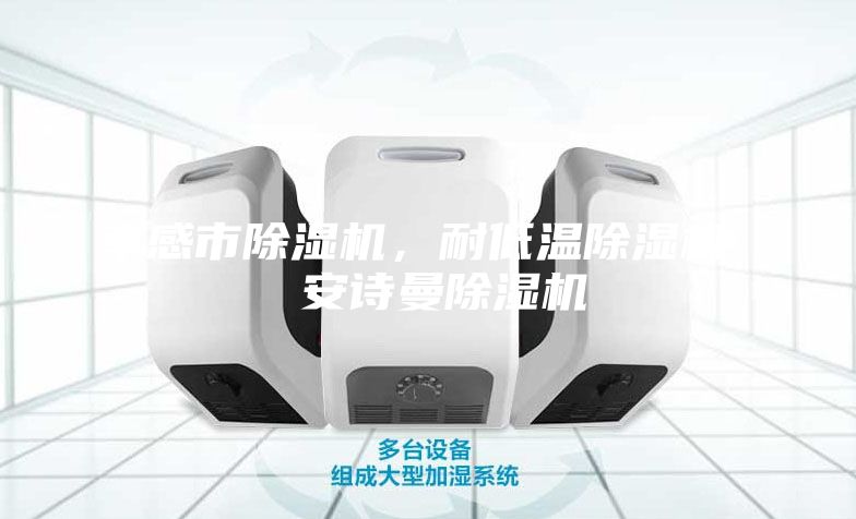 孝感市除濕機(jī),耐低溫除濕機(jī) 安詩(shī)曼除濕機(jī)