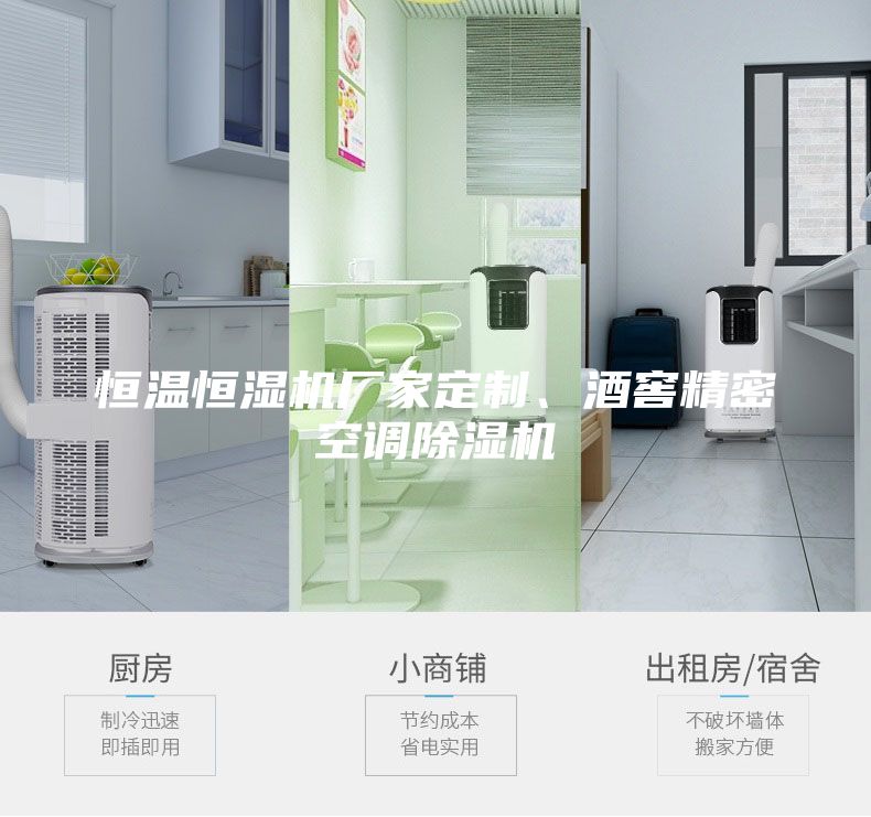 恒溫恒濕機廠家定制、酒窖精密空調除濕機