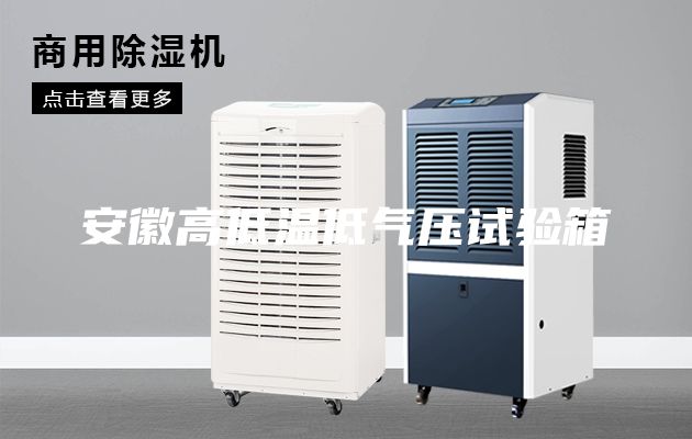 安徽高低溫低氣壓試驗箱