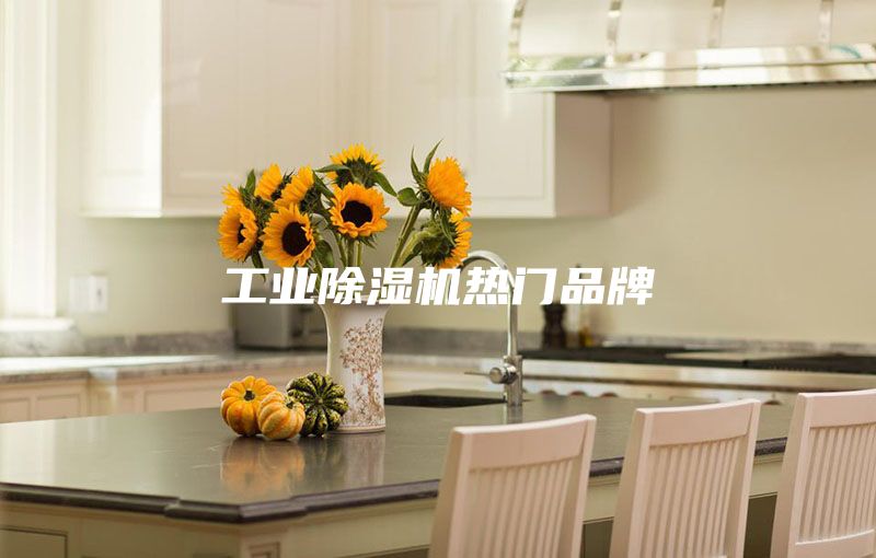 工業(yè)除濕機熱門品牌