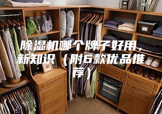 除濕機哪個牌子好用，新知識（附6款優品推薦）