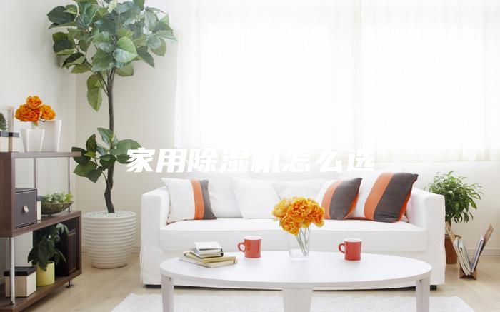家用除濕機(jī)怎么選