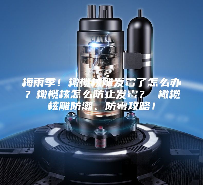 梅雨季！橄欖核雕發霉了怎么辦？橄欖核怎么防止發霉？ 橄欖核雕防潮、防霉攻略！