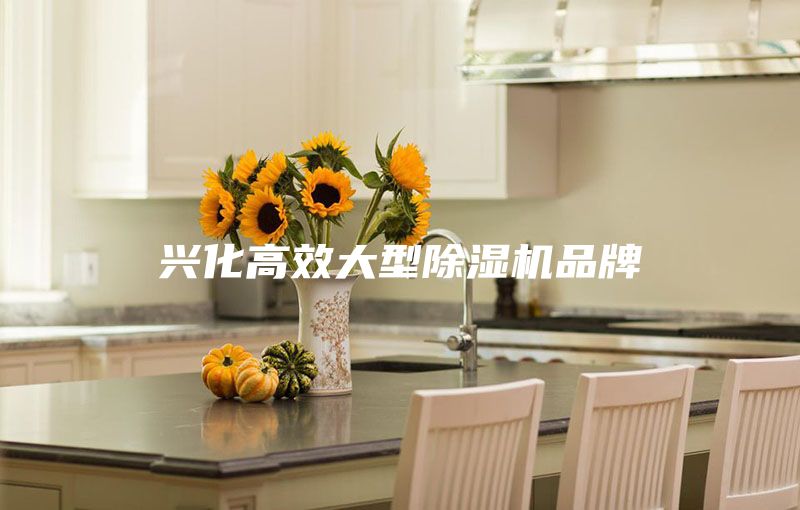 興化高效大型除濕機(jī)品牌