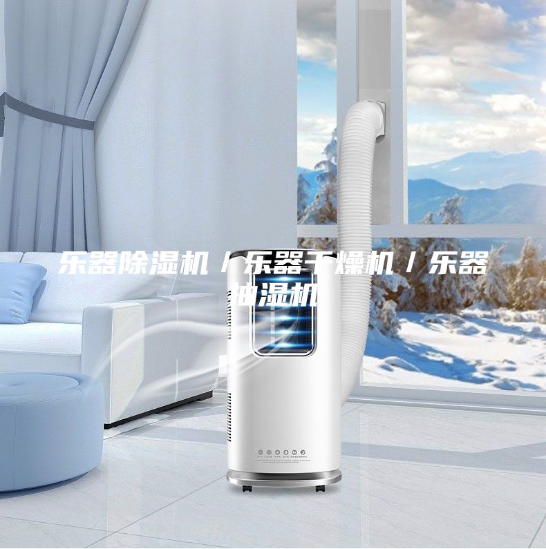 樂器除濕機(jī)／樂器干燥機(jī)／樂器抽濕機(jī)