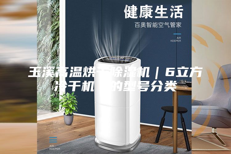 玉溪高溫烘干除濕機|6立方冷干機|的型號分類