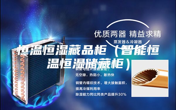 恒溫恒濕藏品柜（智能恒溫恒濕儲藏柜）