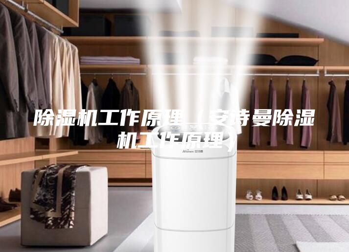 除濕機工作原理（安詩曼除濕機工作原理）