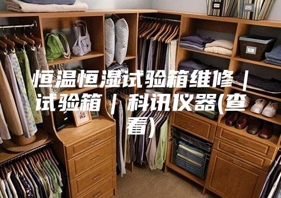 恒溫恒濕試驗箱維修｜試驗箱｜科訊儀器(查看)