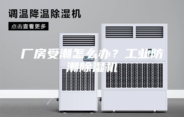 廠房受潮怎么辦？工業防潮除濕機