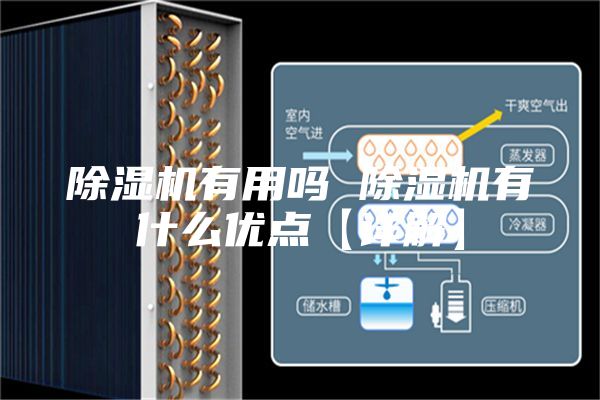 除濕機(jī)有用嗎 除濕機(jī)有什么優(yōu)點(diǎn)【詳解】