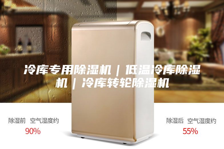 冷庫專用除濕機|低溫冷庫除濕機|冷庫轉輪除濕機